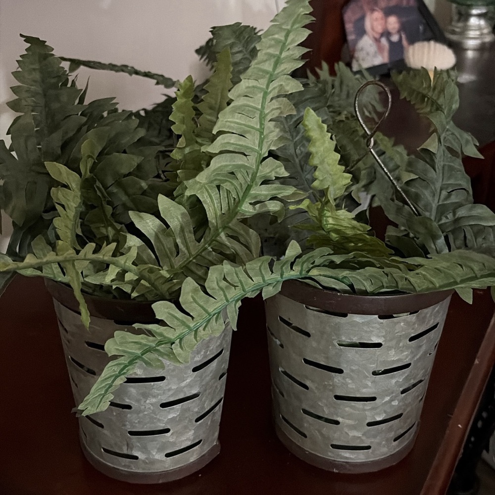 Decorative Green Fern in Gray Metal Planter